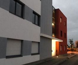 Arkajuris image 4