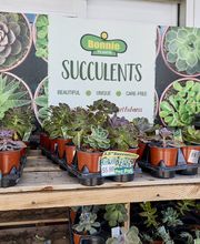 Garden Center Wide Shot