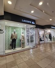 Overall View - Windows (Hero Image)