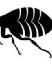 DESINFEXION SERVICE SARL Bild 5