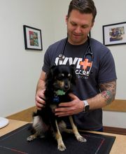 Irvine Valley Veterinary Hospital image 18