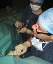 DR. EMMANUEL LUGO imagen 3