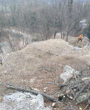 Galli Manuel Bild 11