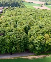 FriedWald Ohetal Bild 8