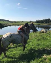 Centre Hippique la Jumenterie image 2