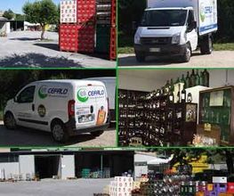 Gallery Cliente