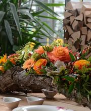 Sommerer & Co Bild 8