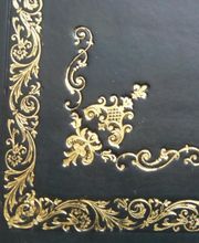 Seguin Charles Edouard image 5