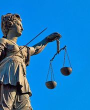 Polle Frédérique image 1