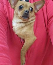 Parrett Veterinary Clinic image 17