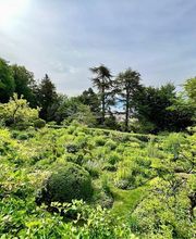 Green and Co Paysages Sàrl Bild 4