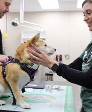 Valley Animal Hospital image 5