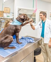 Paws In Paradise Animal Hospital image 3