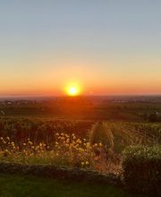 sd-charity IMMOBILIEN und Gutachten Bild 15