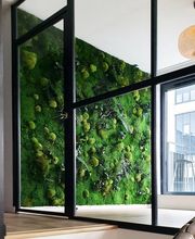 DECO-VEGETALE image 11