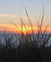 Fellschnack Bild 6