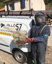 Allô Guêpes 57 image 2