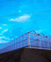 Etter Gemüse und Jungpflanzen Bild 2