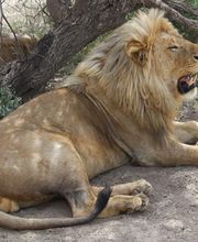 TUKIO Afrika Bild 11
