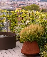 Mint Gardens Bild 14