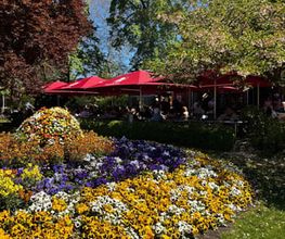 Restaurant und Eiscafé Rossini Bild 5