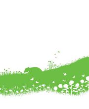 BioKaufmannsladen - BioLebensmittel Bild 1