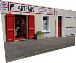 Artémis Immobilier Conseil image 4