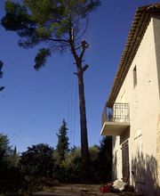 Les Jardins d'Orléna image 10