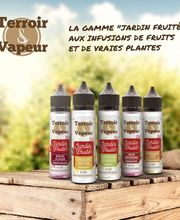 Abaltaba EIRL image 4