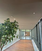 Rozic Bau GmbH Trockenbau und Ausbau Bild 2