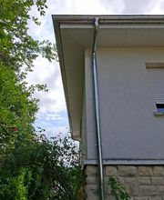 Wolfer Couverture image 12