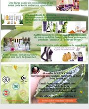 Boutouchent Abdelaziz Alexandre image 8