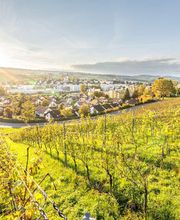 Energie Freiamt AG Bild 8