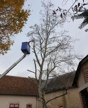 L'Ami des Jardins image 1