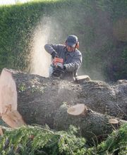 Le Clere Laurent image 10