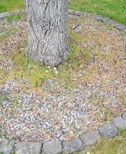 Schäfer Haus- und Gartenservice Bild 12