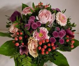 Floria Blumen Bild 7