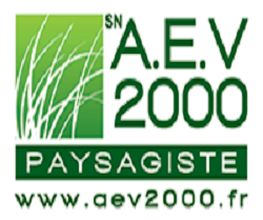 AEV 2000 image 2