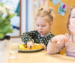 Humankind - Kinderdagverblijf Huize Kakelbont afbeelding 5