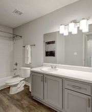 Elements of Madison Apartments image 1