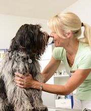 Kleintierklinik am See Bild 1