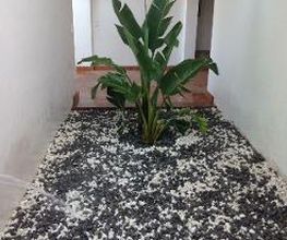 Interjardín imagen 19
