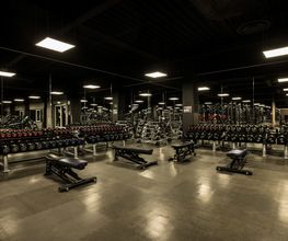 Fitness First Raunheim Mainspitze - Freestyle