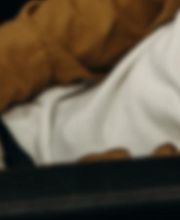 Larygraphiste image 1