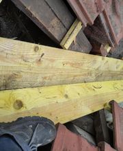 Seneca Antony image 10