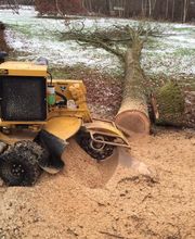 D'arbre En Arbre image 4