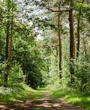 FriedWald Dudenhofen Bild 6
