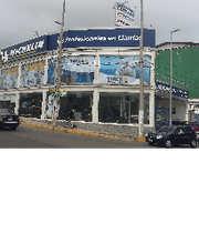 TIREX MICHELIN Araucarias imagen 2