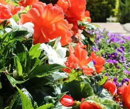 Garten - und Grundstückservice Busch