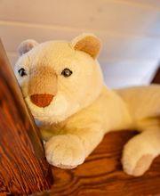 Kinderkrippe Teddybär GmbH Bild 3